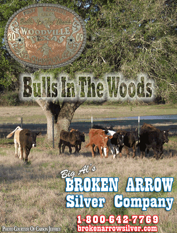 April 2009 Broken Arrow News