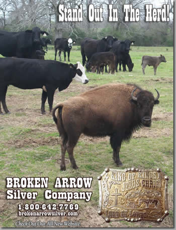Broken Arrow Silver-Custom Trophy Rodeo Belt Buckles, Crowns
