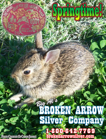 Broken Arrow Silver Company Springtime 2009 Specials